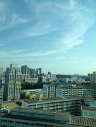 Bishan Loft (D20), Condominium #117096762